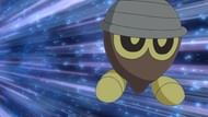 Seedot in the anime (Image via The Pokemon Company)